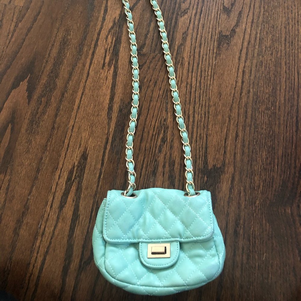 Aqua Cushion Purse